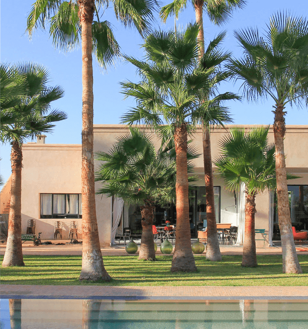 Villa Mazagan entourée des palmiers